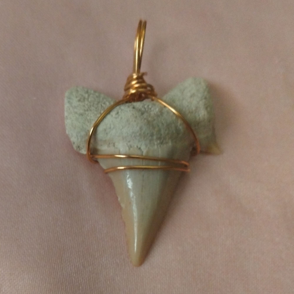 Gold Wire Wrapped Shark Tooth Pendant